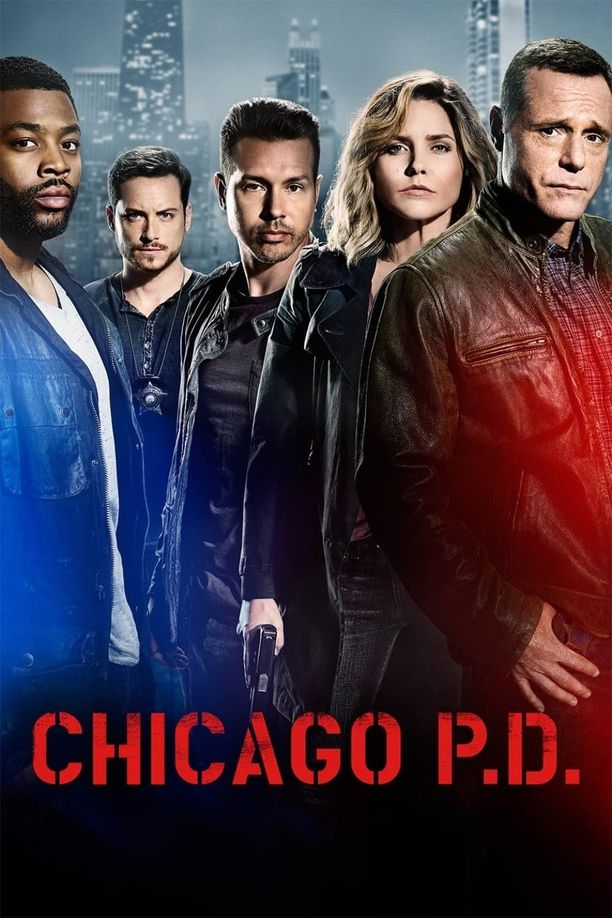 芝加哥警署    第⁨四⁩季
    Chicago P.D. (2016)