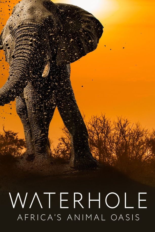水塘故事：非洲动物的生命绿洲    第⁨一⁩季
    Waterhole: Africa's Animal Oasis (2020)