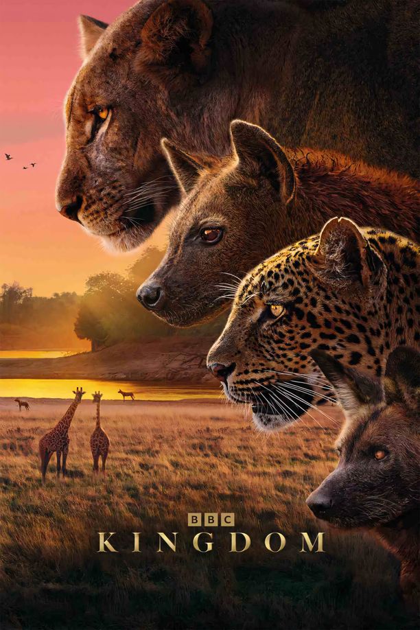 Kingdom (2025)