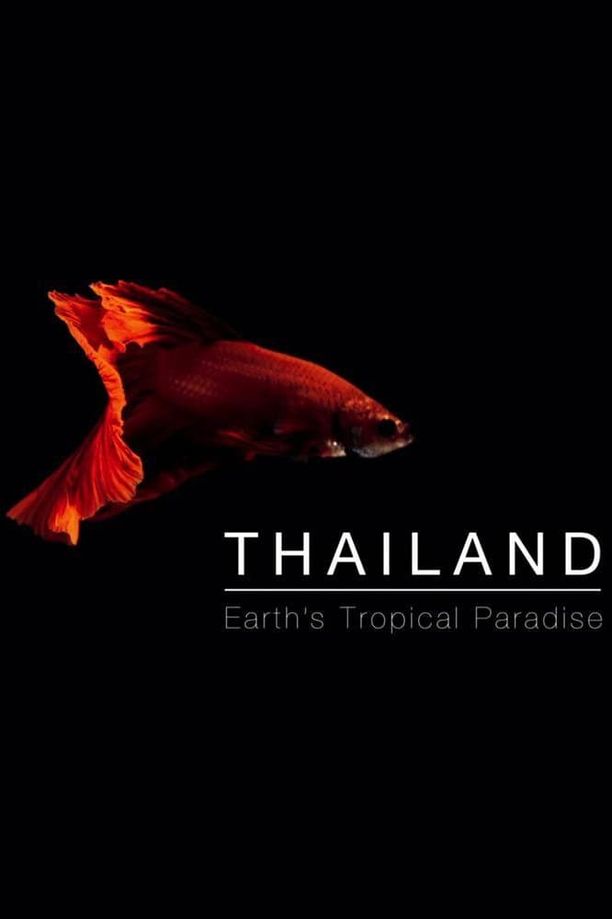 泰国：地球上的赤道天堂Thailand: Earth's Tropical Paradise (2017)