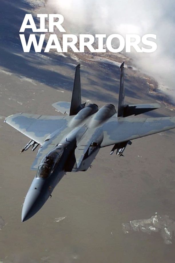 战机：空中勇士    第⁨三⁩季
    Air Warriors (2015)