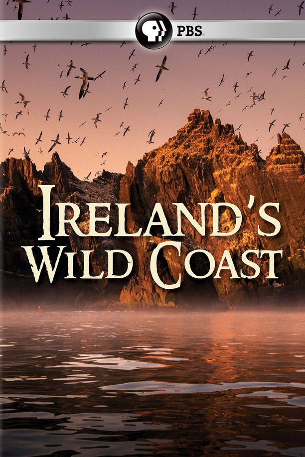 爱尔兰的荒野海岸    第⁨一⁩季
    Ireland's Wild Coast (2017)