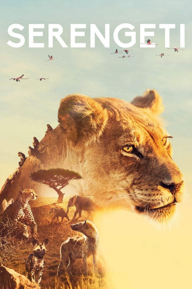 塞伦盖蒂    第⁨一⁩季
    Serengeti (2019)