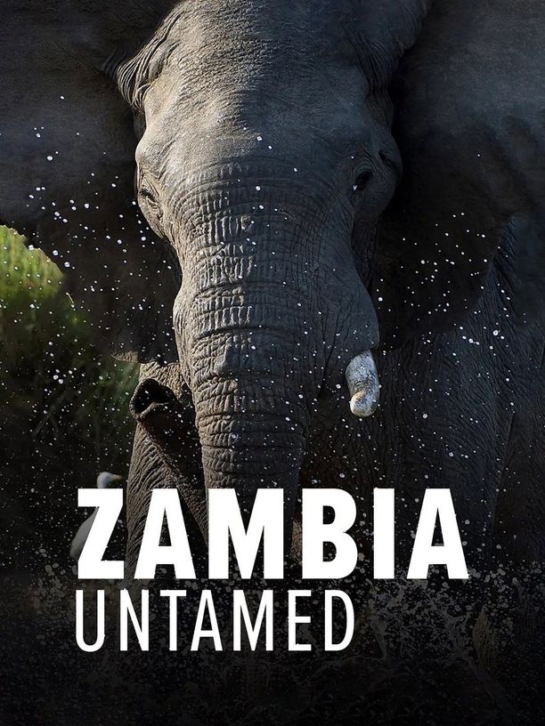 狂野赞比亚Zambia Untamed (2017)
