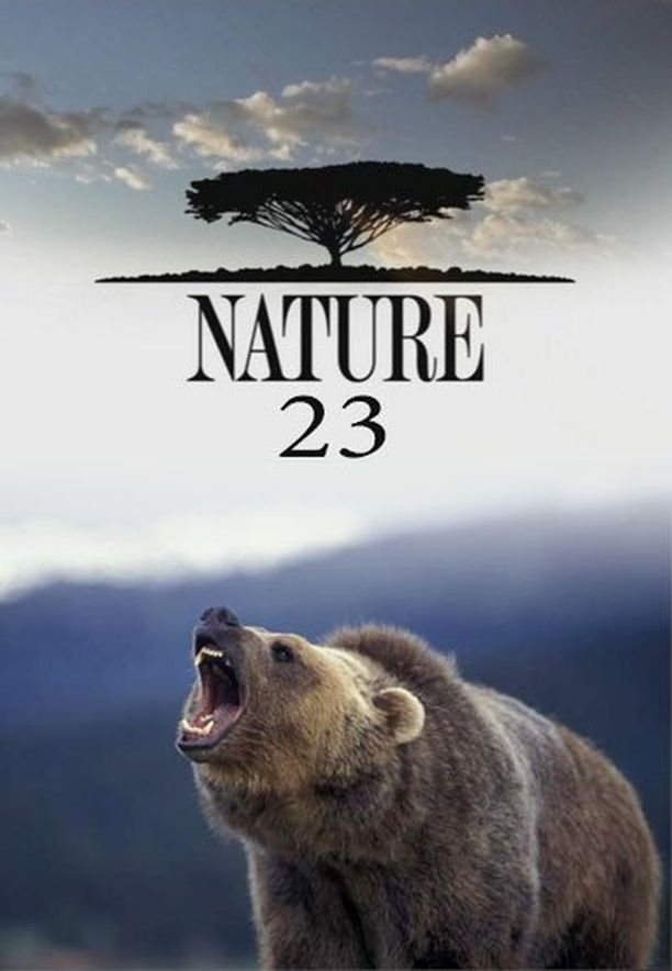 自然    第⁨二十三⁩季
    Nature (2004)