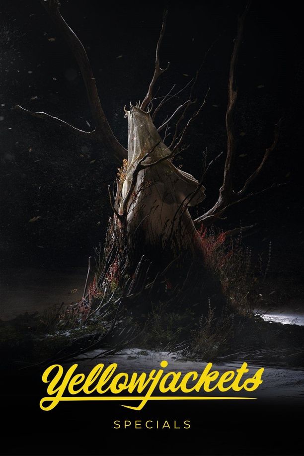 黄蜂    特别篇
    Yellowjackets (2023)