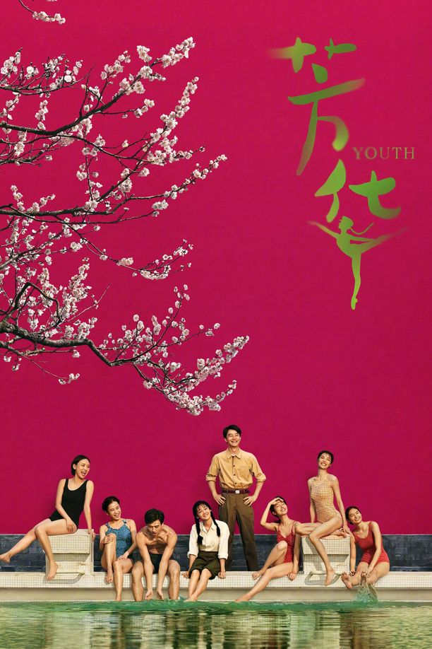 芳华 (2017)
