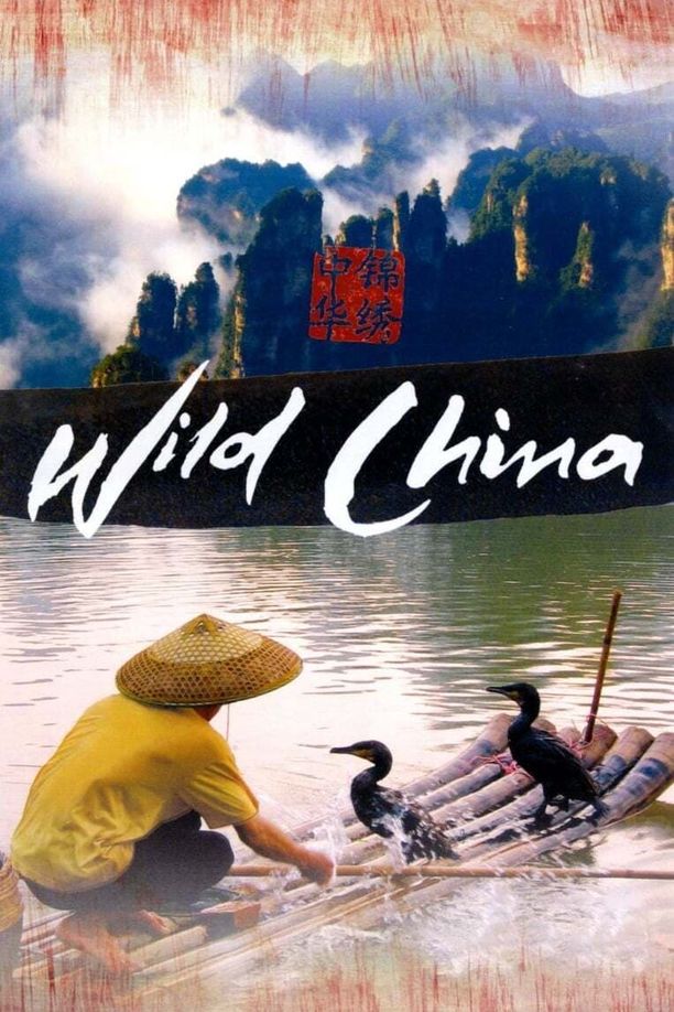 美丽中国    第⁨一⁩季
    Wild China (2008)