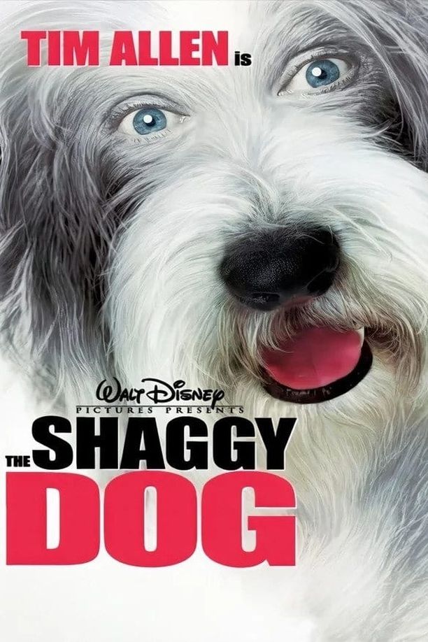 长毛狗The Shaggy Dog (2006)