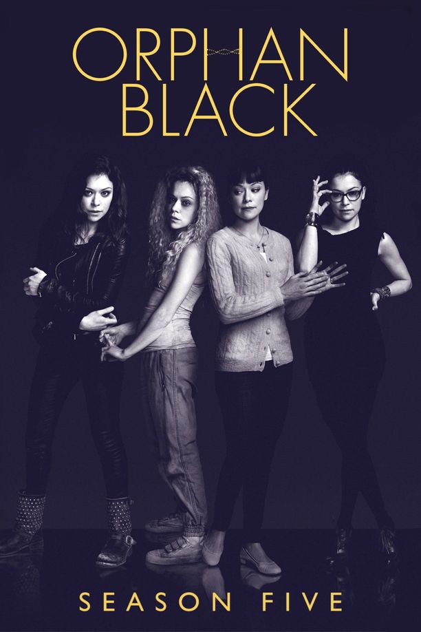 黑色孤儿    第⁨五⁩季
    Orphan Black (2017)