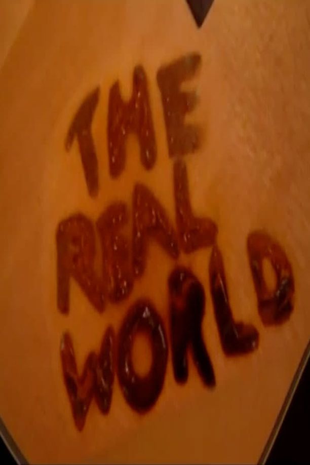 The Real World    第⁨十六⁩季
     (2005)