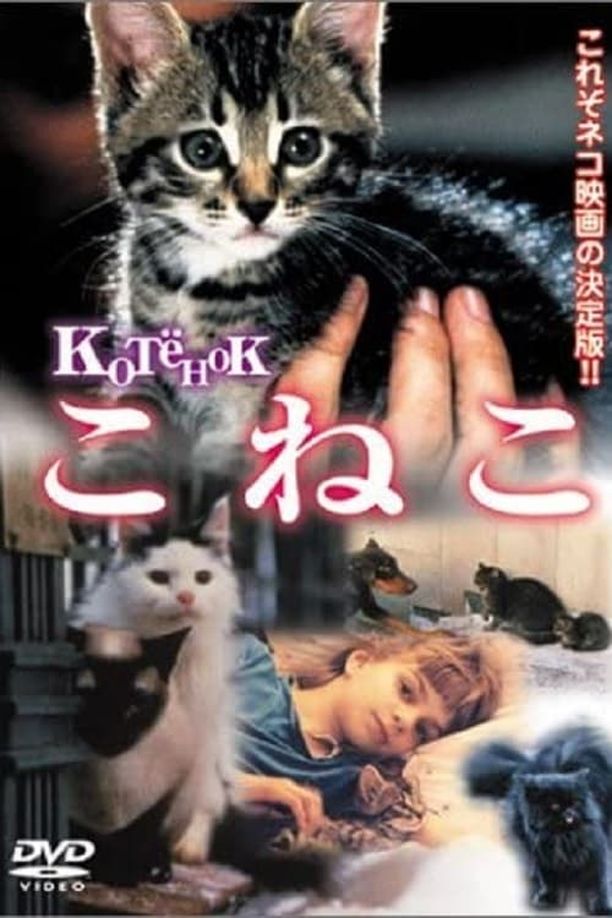 小猫虎子Котёнок (1996)
