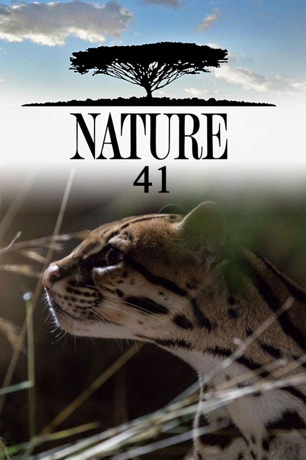 自然    第⁨四十一⁩季
    Nature (2022)