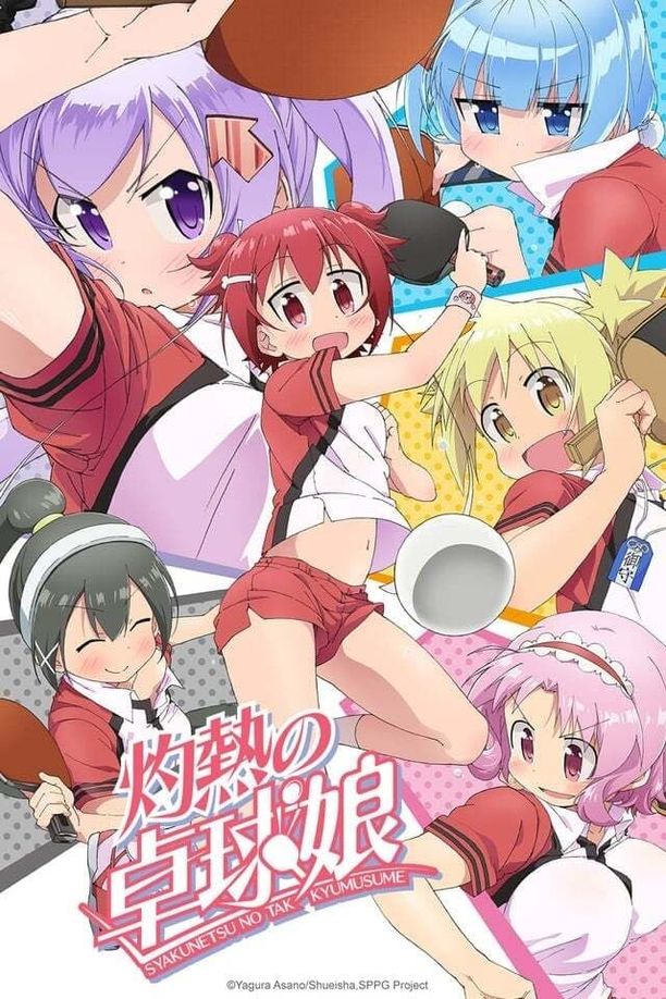 灼热的乒乓球娘    第⁨一⁩季
    灼熱の卓球娘 (2016)