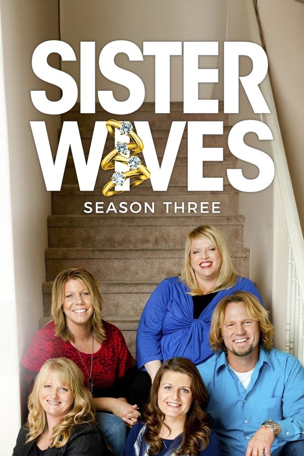我的妻子们是好姐妹    第⁨三⁩季
    Sister Wives (2012)