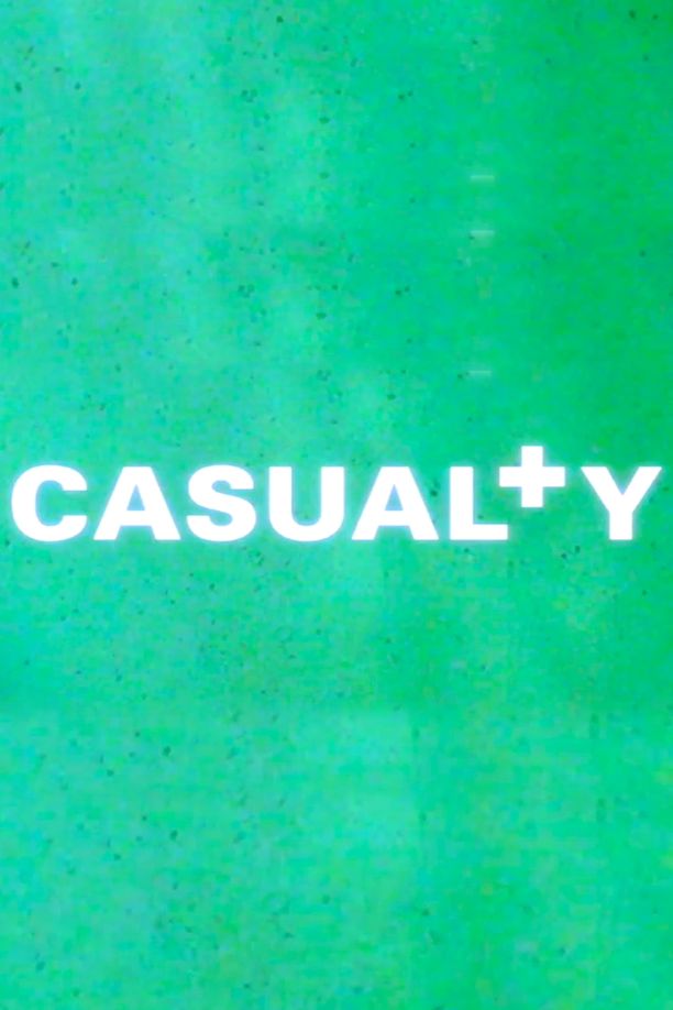 急诊室的故事    第⁨十五⁩季
    Casualty (2000)