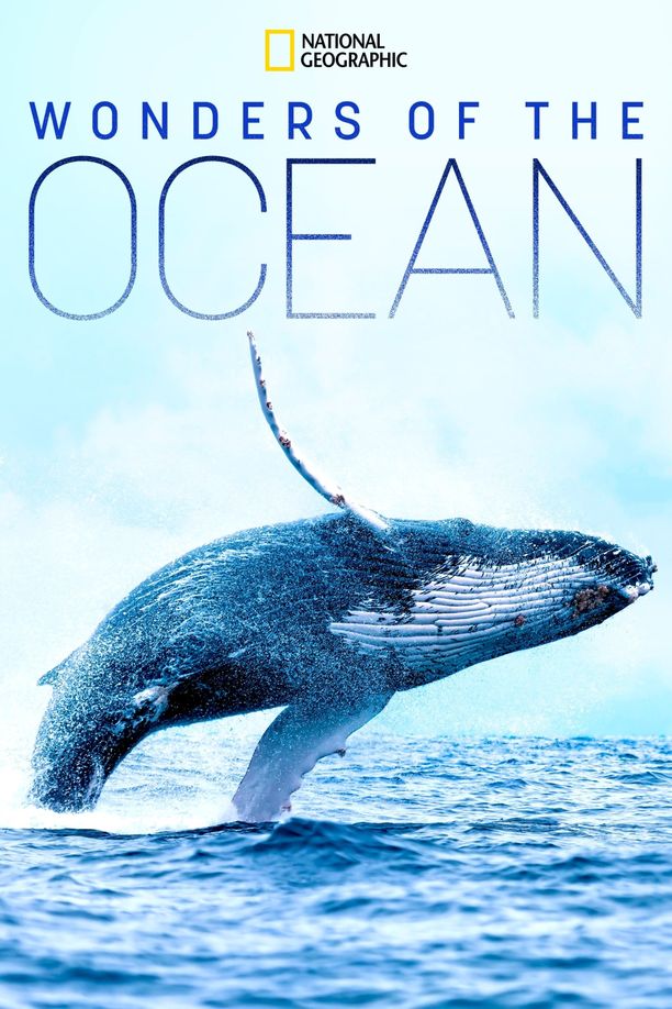 大海奇观Wonders of the Ocean (2019)
