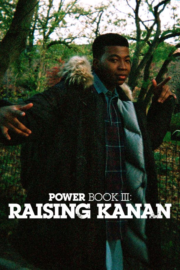 权欲第三章：少年卡南    第⁨一⁩季
    Power Book III: Raising Kanan (2021)