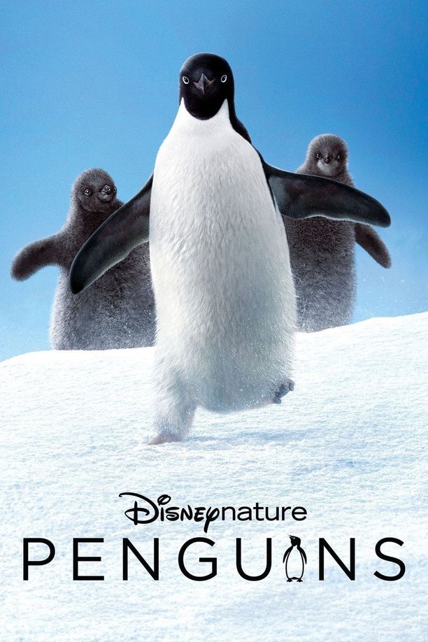 企鹅Penguins (2019)