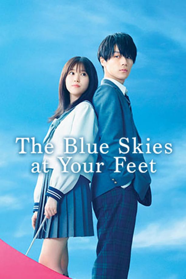 你遗落的蓝天君が落とした青空 (2022)
