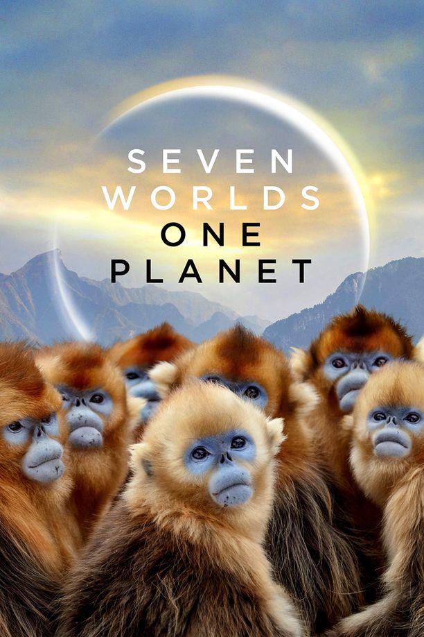 七个世界，一个星球    第⁨一⁩季
    Seven Worlds, One Planet (2019)