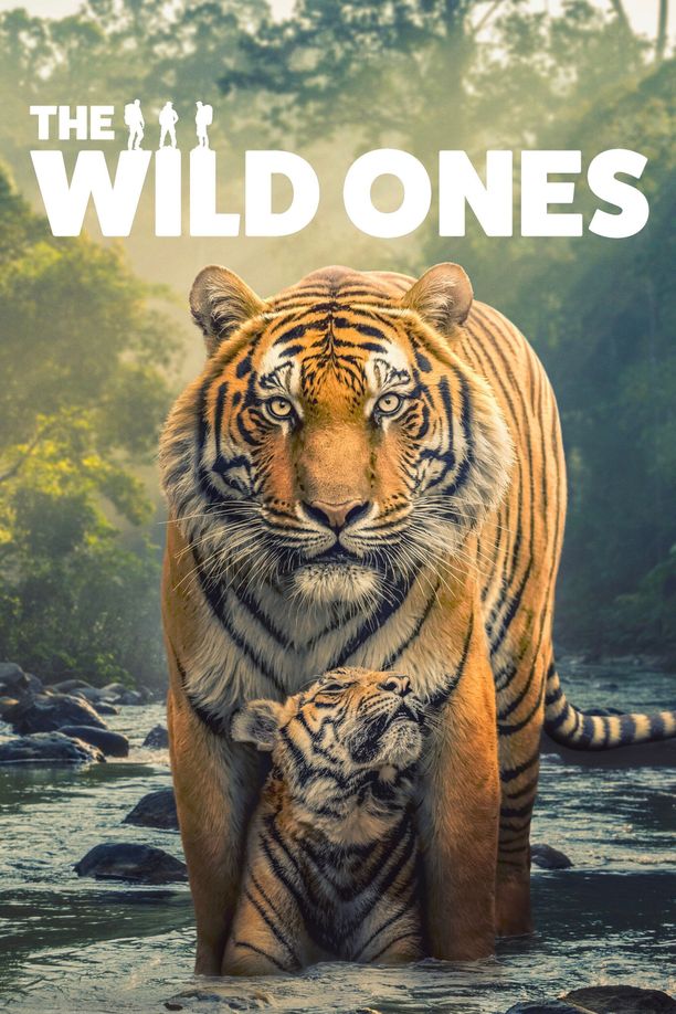 野性生灵    第⁨一⁩季
    The Wild Ones (2025)