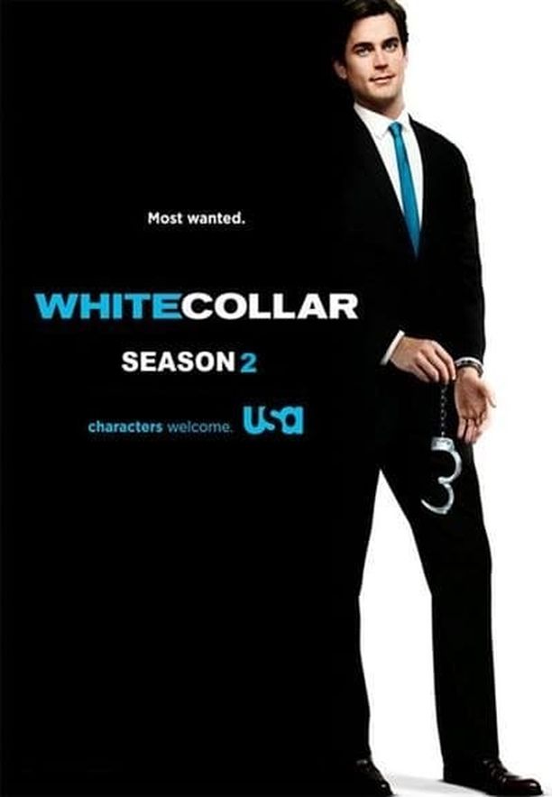 妙警贼探    第⁨二⁩季
    White Collar (2010)