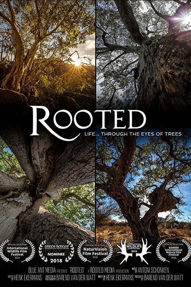 生命之树    第⁨一⁩季
    Rooted (2018)