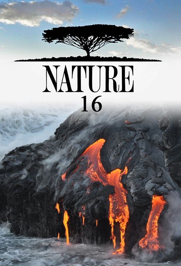 自然    第⁨十六⁩季
    Nature (1997)