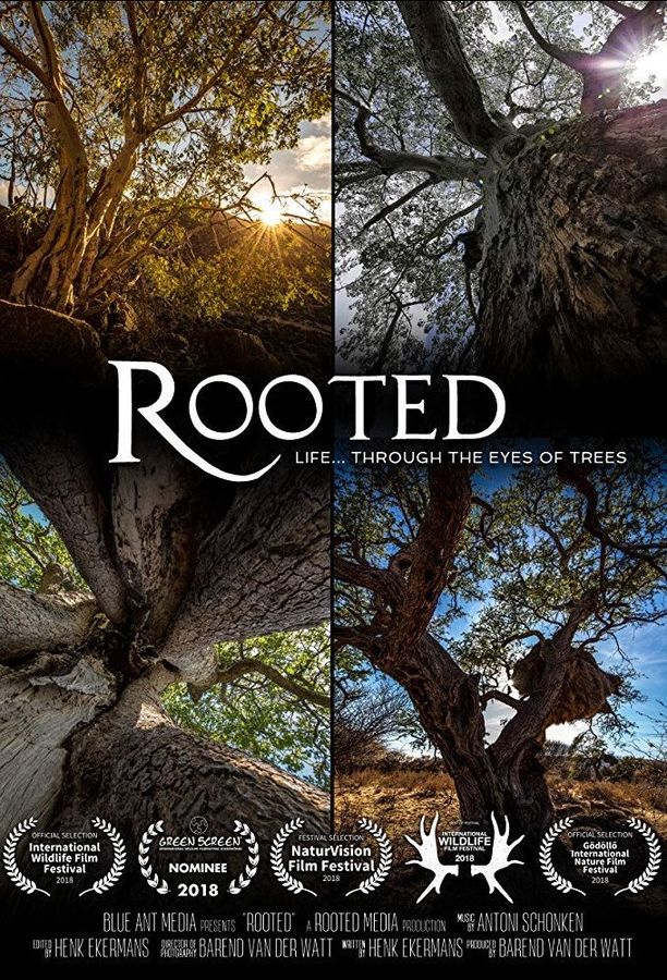 生命之树Rooted (2018)