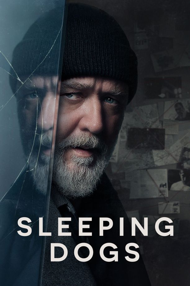 沉睡烈犬Sleeping Dogs (2024)