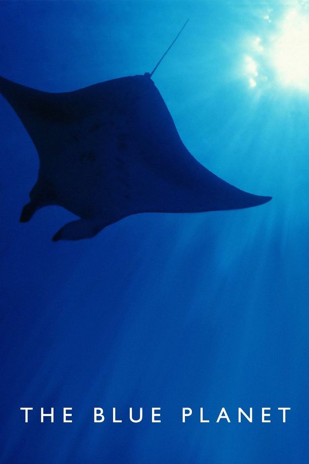 蓝色星球    特别篇
    The Blue Planet (2001)