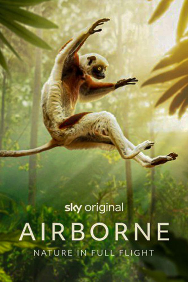 Airborne    第⁨一⁩季
     (2024)