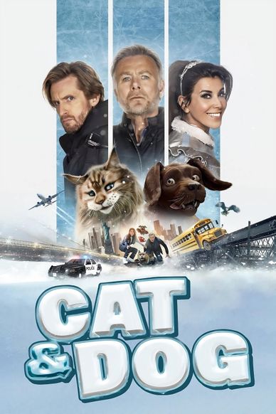 猫狗大乱斗