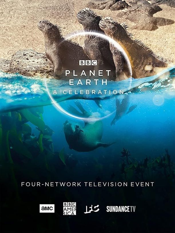 地球脉动：生命礼赞Planet Earth: A Celebration (2020)