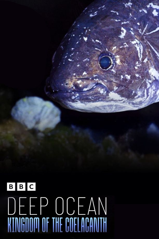 深海的活化石王国：腔棘鱼Deep Ocean: Kingdom of the Coelacanth (2025)