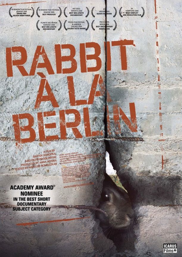 柏林墙的野兔Królik po berlinsku (2009)