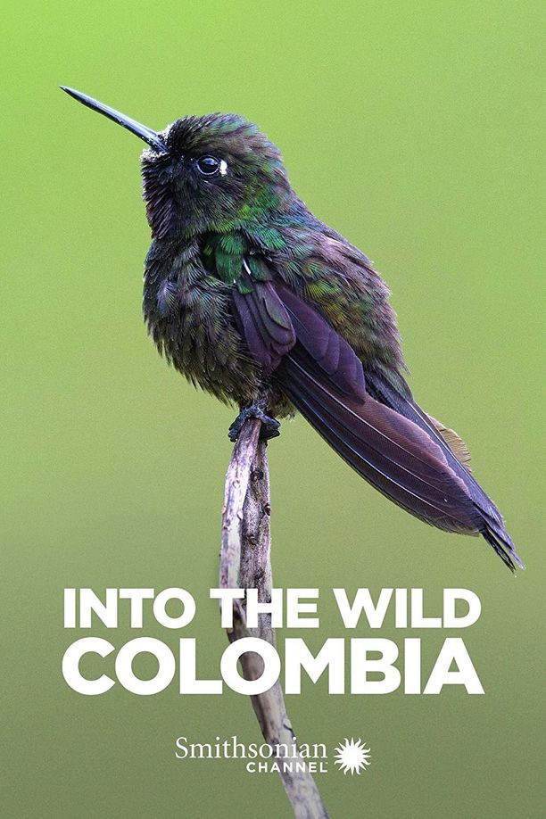 进入野外：哥伦比亚    第⁨一⁩季
    Into the Wild: Colombia (2018)