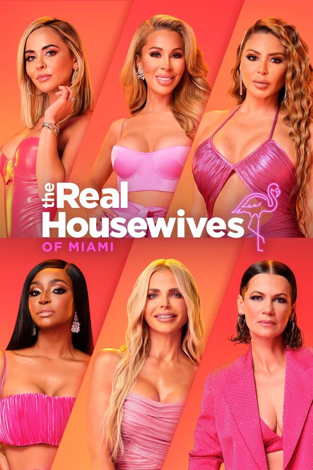 The Real Housewives of Miami    第⁨六⁩季
     (2023)