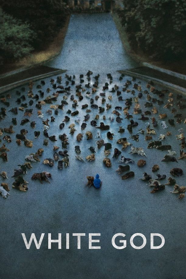 白色上帝Fehér Isten (2014)