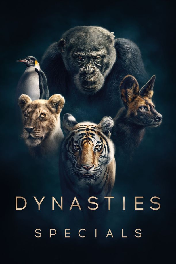 王朝    特别篇
    Dynasties (2018)